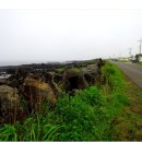 서림연대 이미지