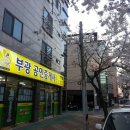 부광공인중개사사무소 이미지