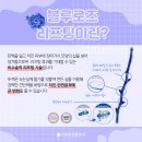 신세계성형외과의원 이미지