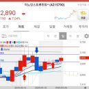 이노약품 이미지