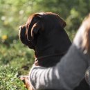 뉴로동물암센터 이미지