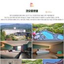 에이치에비뉴호텔 울산삼산점 | 26년 3월 경주 벚꽃 골프 투어 감포CC 부터 서라벌까지 1박2일 완벽 정복