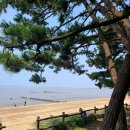 해송 - 군산시 서수송1길 12-5 | 해송