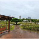 뚝섬한강공원-86 이미지