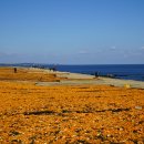 미래목장 이미지