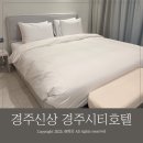 시티모텔 | 신상 경주호텔 가성비 [경주시티호텔] 스탠다드 더블룸 후기