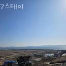 877스테이