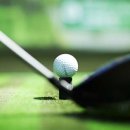 서하남 스크린 골프 이미지