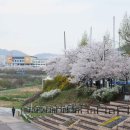 충훈2교 이미지