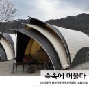 숲속에 머물다 | 춘천 서면 아이와 가기 좋은 글램핑장 숲속에 머물다 <내돈내산 후기 >