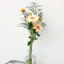 다미안 요가필라테스 상봉점 이미지