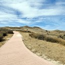 황매산 억새축제 이미지