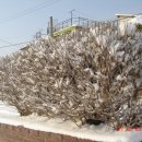 호남이발관 이미지