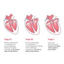 24시알파동물메디컬센터 이미지