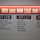 제프짐 이미지