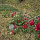 내대리 농장 이미지