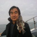반도낚시 이미지