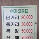 평화목장2 | 제주 아이 혼자 말타기 체험 가능한 삼다수 승마목장 6세 어린이 후기