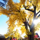 전주향교 이미지