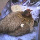 정감어린 이미지