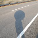 사선가축인공수정소 | 전라선 도보여행_5일차(죽림온천역-관촌역)_3탄