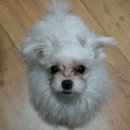 경동동물병원 이미지