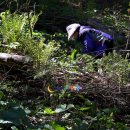 정자리농장 이미지