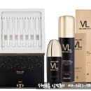 브이엘 이미지
