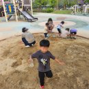 샛별어린이공원 이미지