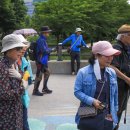 6월6일 오산 물향기수목원, 고인돌공원, 장미원 이미지