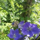 선후농장 이미지