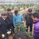 김찬우농장 이미지