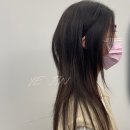 살롱알제