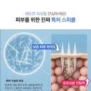 딕트