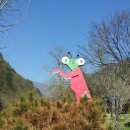 아리바우길(정선코스) 이미지