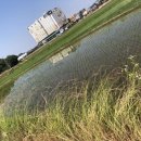고향떡방아간 네이버블로그