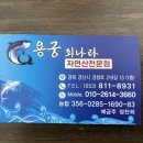 용궁회나라