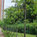 11650-4-36-2 이미지