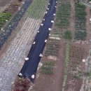 미영농장 이미지