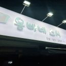 용빠네스시