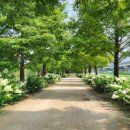 낙동강관리본부 화명생태공원 2 이미지