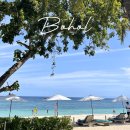 해변의 꿈 호스텔 | 보홀 자유여행 3박5일 코스 일정 경비 숙소 투어 총정리