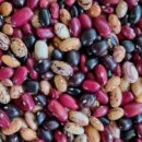 믿음농장 이미지