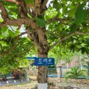 시대 융화 콘서트 <이음> | 귀국 길 - 한글의 힘, 소프트 파워