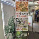 용인맛집 알찬 대게 세트 메뉴 추천 대게 좋은날 내돈내산 후기