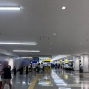 스카이에어라인 | 후쿠오카-오키나와 국내선 일본 LCC 스카이마크 Skymark Airlines 가격 수하물 탑승 후기