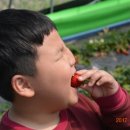 만승태권도장 이미지