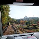 교동 화개산 펜션 | 강화도 여행 화개산 모노레일｜화개정원 주차&amp;입장료 이용꿀팁