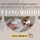 담꾹아산