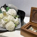 빛나는 강아지 이미지